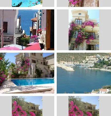 Mediterranean
